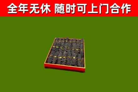 锦州市回收海参